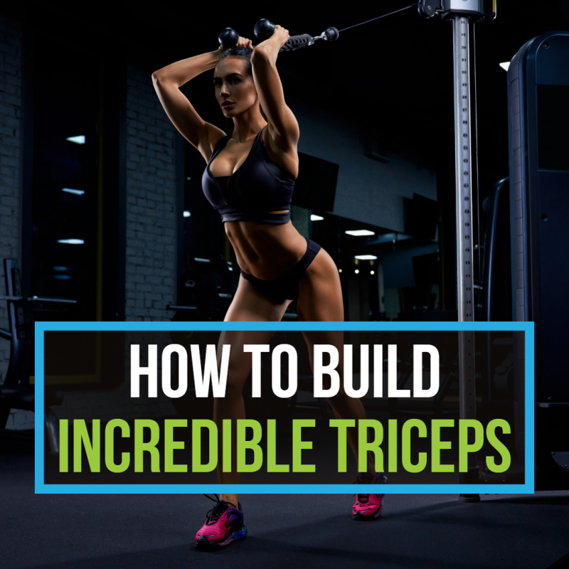 Biceps Triceps Shoulders – click to view and print this